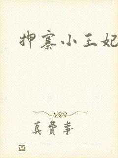 押寨小王妃