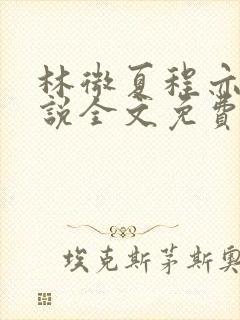 林微夏程亦风小说全文免费