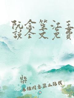 阮念笙江玉楼小说全文免费阅读