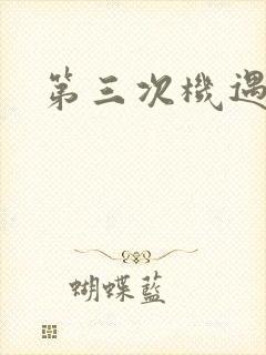 第三次机遇