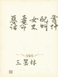 恶毒女配靠JY活命又叫什么