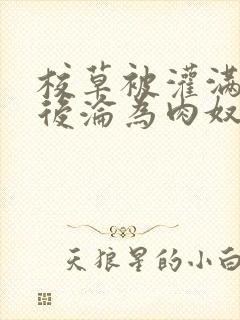 校草被灌满精水后沦为肉奴小说