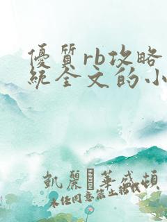 优质rb攻略系统全文的小说