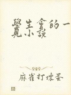 学生会的一己之见小说