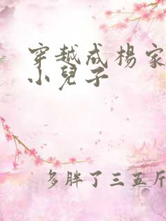 穿越成杨家将最小儿子