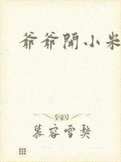 爷爷开小米的包