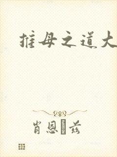 推母之道大结局