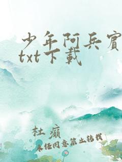 少年阿兵宾小说txt下载