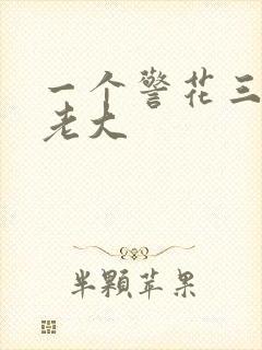 一个警花三个黑老大