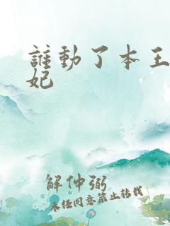 谁动了本王的悍妃