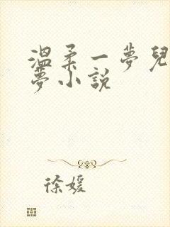温柔一梦儿媳林梦小说