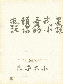 低头看我是怎么玩你的小说