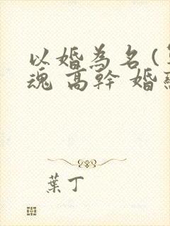 以婚为名 (军魂 高干 婚恋)