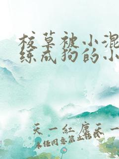 校草被小混混训练成狗的小说