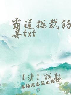 霸道总裁的挂名妻txt
