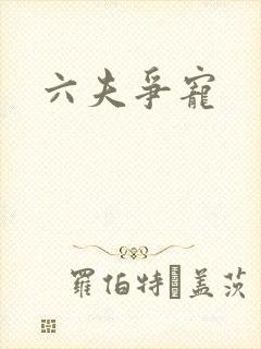 六夫争宠
