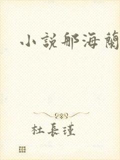 小说那海兰珠