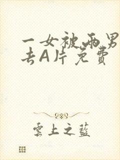 一女被两男桶进去A片免费