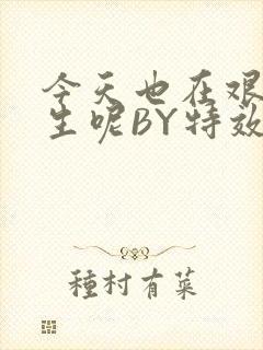 今天也在艰难求生呢BY特效药