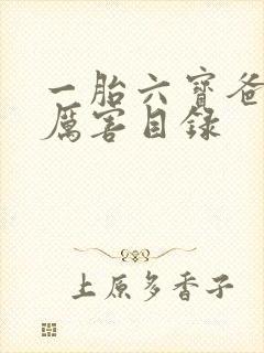 一胎六宝爸比好厉害目录