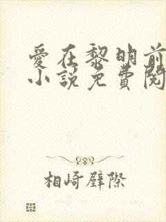 爱在黎明前降落小说免费阅读