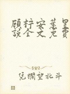 顾柠安叶昱城小说全文免费阅读