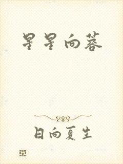 星星向蓉