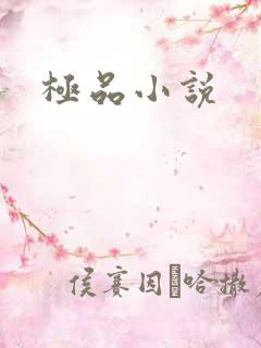 极品小说