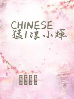 CHINESE猛1浪小辉