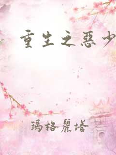 重生之恶少