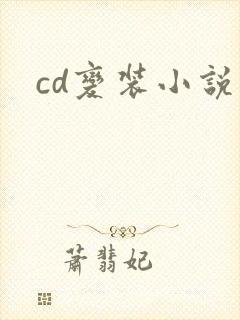 cd变装小说