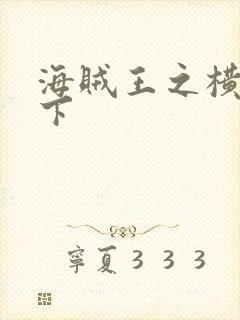 海贼王之横行天下