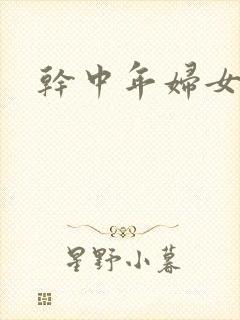 干中年妇女小说