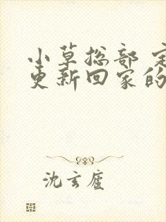 小草总部 定期更新回家的路