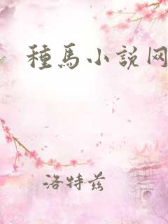 种马小说网