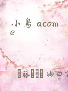 小鸟 acome