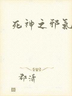 死神之邪气一护