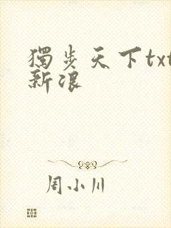 独步天下txt新浪