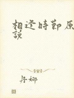 相逢时节原著小说