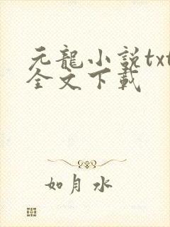 元龙小说txt全文下载