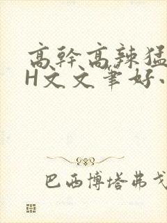 高干高辣猛高辣H文文笔好小说