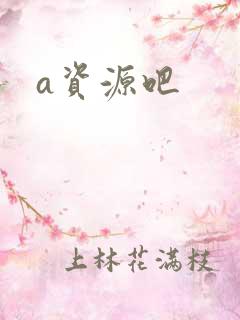 a资源吧