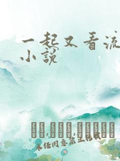 一起又看流星雨小说