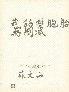 我的双胞胎老婆无删减