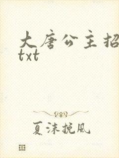 大唐公主招亲记txt