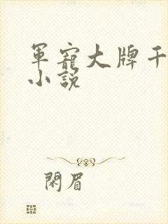 军宠大牌千金 小说