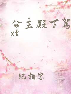 公主殿下驾到txt