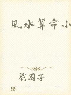 风水算命小说