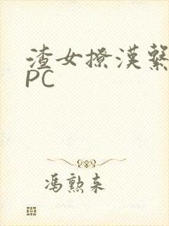 渣女撩汉系统NPC