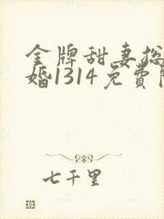 金牌甜妻总裁宠婚1314免费阅读